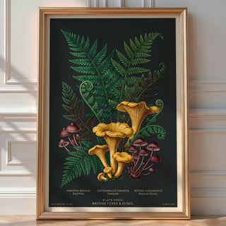 Moody Botanical Fern Poster – Vintage Scientific Wall Art Print — room-portrait