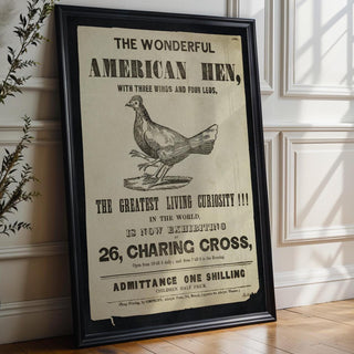 Vintage Sideshow Poster Print – The Wonderful American Hen – Three Wings Four Legs Chicken – Odd Animal Freak Show Reprint - Just Great Posters