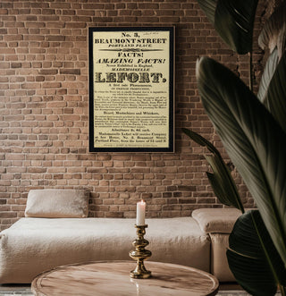 Freak Show Poster Print – Mademoiselle Lefort Vintage Reprint – Bearded Lady Flyer from 1800s Exhibition of Natural Wonders - Just Great Posters