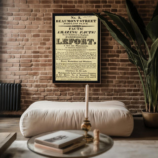 Freak Show Poster Print – Mademoiselle Lefort Vintage Reprint – Bearded Lady Flyer from 1800s Exhibition of Natural Wonders - Just Great Posters