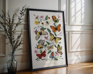Butterfly Illustration Poster – Vintage Entomology Wall Art, Colorful Nature Print for Botanical Decor or Cottagecore Aesthetic, Scientific - Just Great Posters
