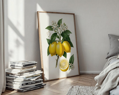 Citrus Limon Botanical Poster – Vintage Fruit Wall Art Print — styled-wall
