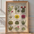 Desert Cacti Taxonomy Poster – Succulent Botanical Wall Art Print — room-portrait