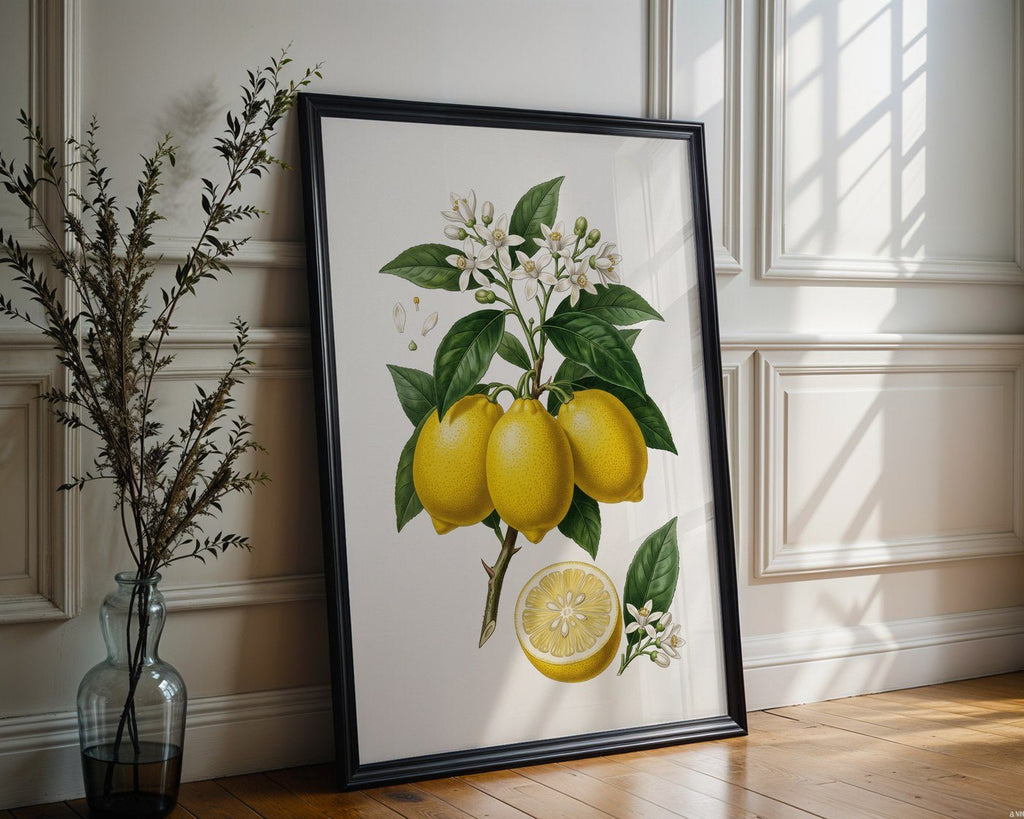 Citrus Limon Botanical Poster – Vintage Fruit Wall Art Print — frame-286