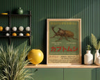 Rhino Beetle Poster – KABUTOMUSHI Osaka Institute Print, Vintage Japanese Insect Art, Physical Wall Poster - Just Great Posters