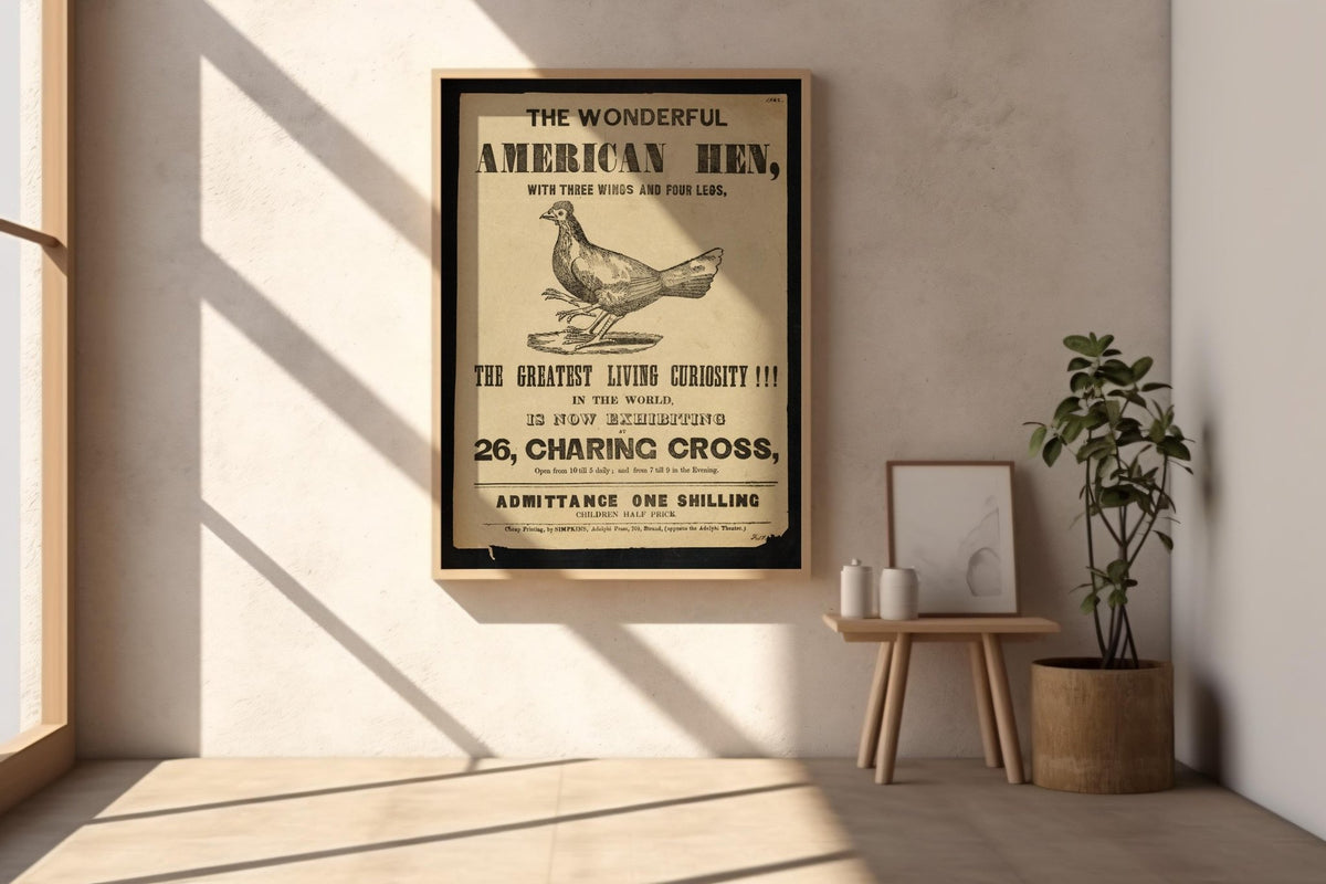 Vintage Sideshow Poster Print – The Wonderful American Hen – Three Wings Four Legs Chicken – Odd Animal Freak Show Reprint - Just Great Posters