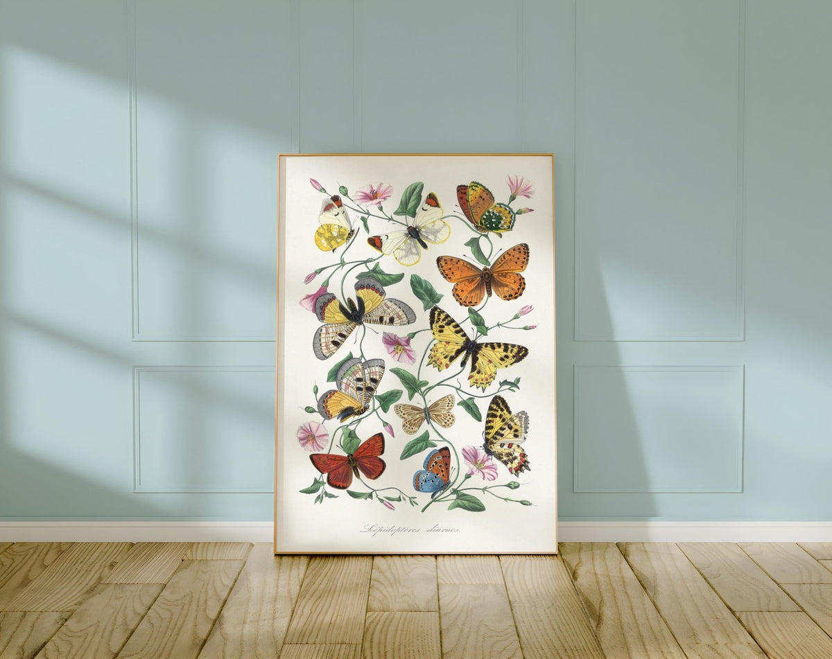 Butterfly Illustration Poster – Vintage Entomology Wall Art, Colorful Nature Print for Botanical Decor or Cottagecore Aesthetic, Scientific - Just Great Posters