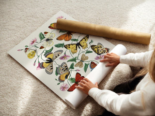 Butterfly Illustration Poster – Vintage Entomology Wall Art, Colorful Nature Print for Botanical Decor or Cottagecore Aesthetic, Scientific - Just Great Posters