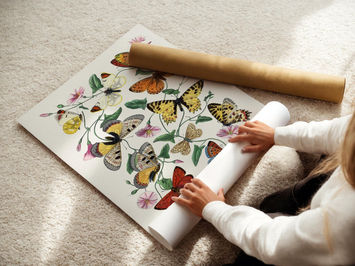 Butterfly Illustration Poster – Vintage Entomology Wall Art, Colorful Nature Print for Botanical Decor or Cottagecore Aesthetic, Scientific - Just Great Posters